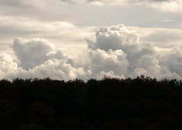 Wetter