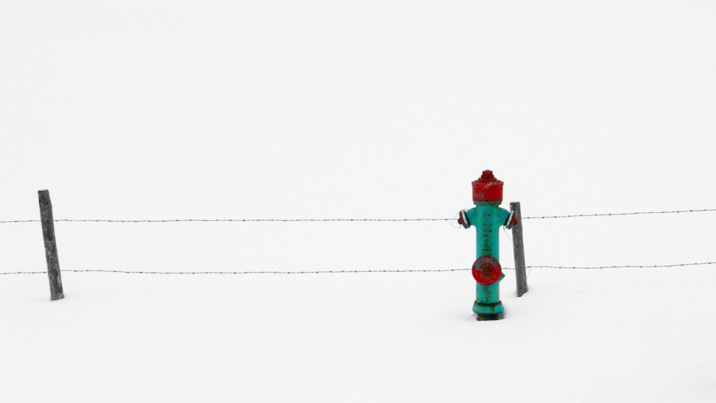 Fireplug