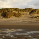 Dünen auf Schouwen-Duiveland