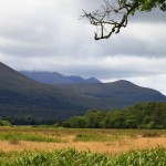 Killarney National Park