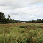Killarney House